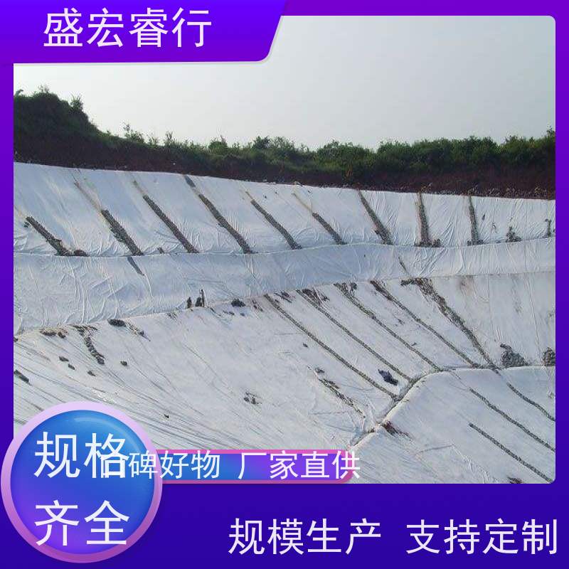 盛宏睿行 煤炭加工企业污水池专用 土工膜 一布一膜