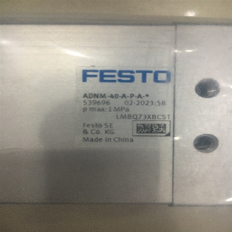 德国FESTO标准型不锈钢气缸DSBC-100-500-PPVA-N3