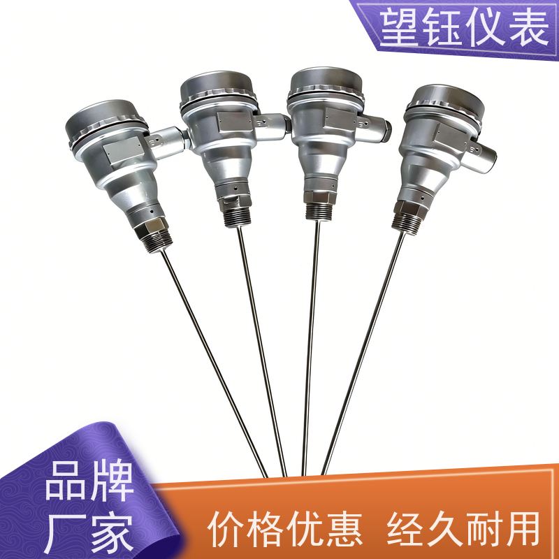 望钰 可定制 WREJ型热电偶 化工反应釜 生产厂家