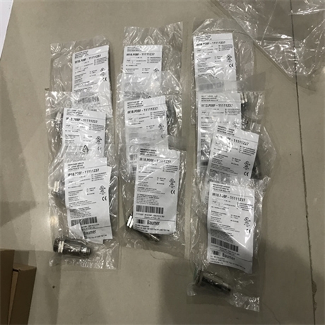资料TE2-1.4.1020.0050.0 10328812堡盟温度传感器