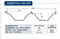 YX92-300-600