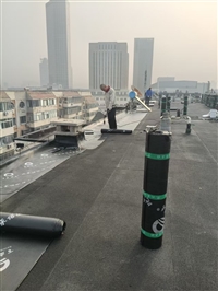 红桥区防水补漏 沥青卷材油毡局部修补 