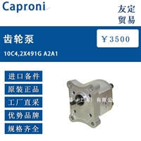 欧洲进口Caproni 10C4,2X491G A2A1齿轮泵