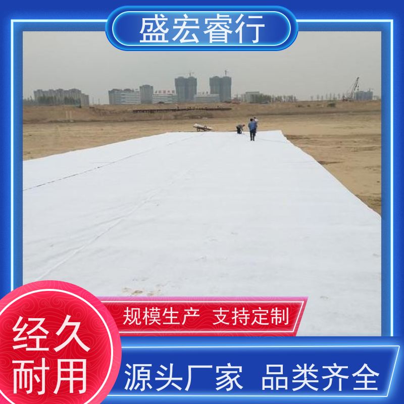 盛宏睿行 PET土工布  国标短丝 园林绿化防尘盖土布