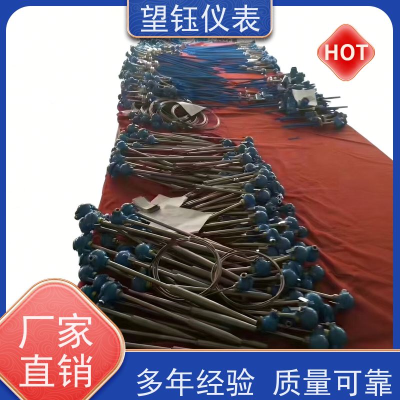望钰 精度高 WRE探针热电偶 化工反应釜 生产厂家