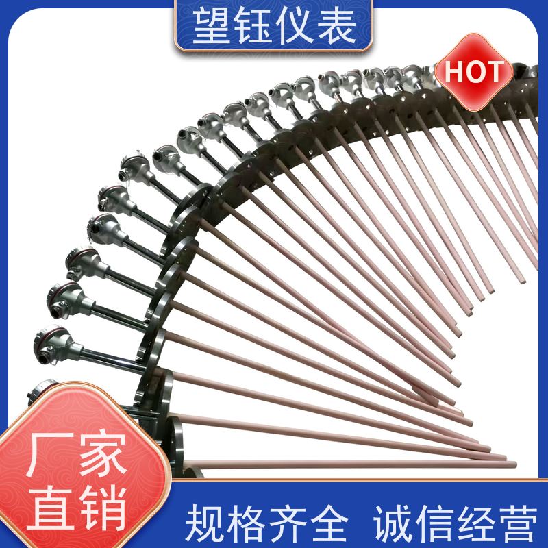 望钰 耐磨耐腐蚀 Cu50T型热电偶 化工反应釜 生产厂家