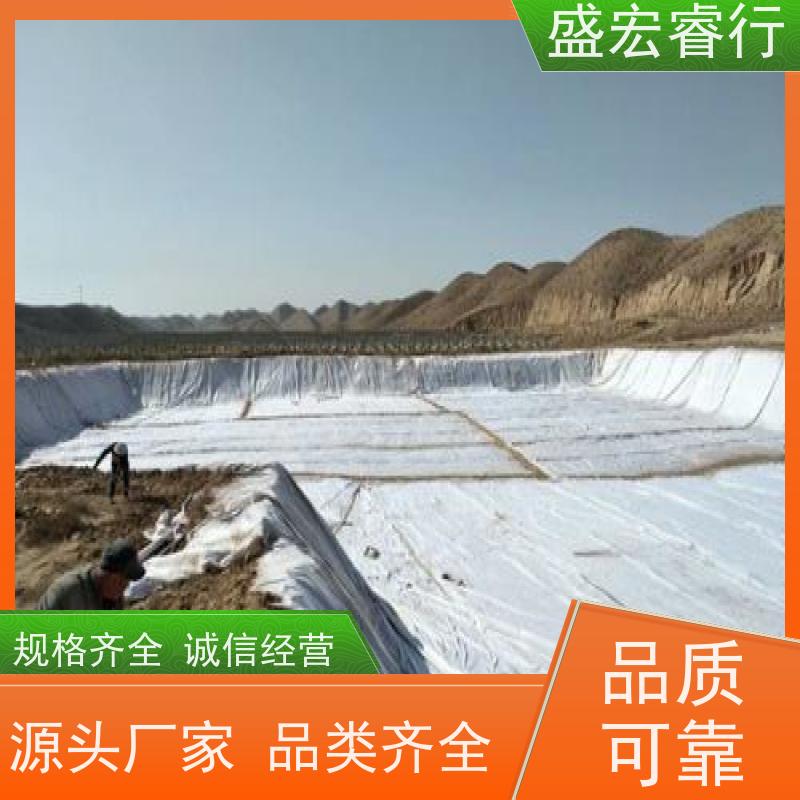 盛宏睿行 煤炭加工企业污水池专用 复合膜 两布一膜土工布