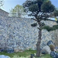 古建景区金线木纹文化石-芝麻灰蘑菇石纹理酷似木纹