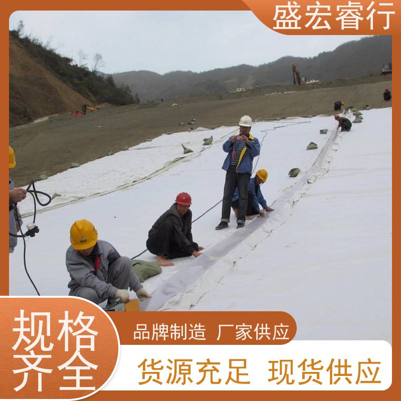 盛宏睿行 非织造布 食品厂加工废水池 环保无毒防渗  PE土工膜