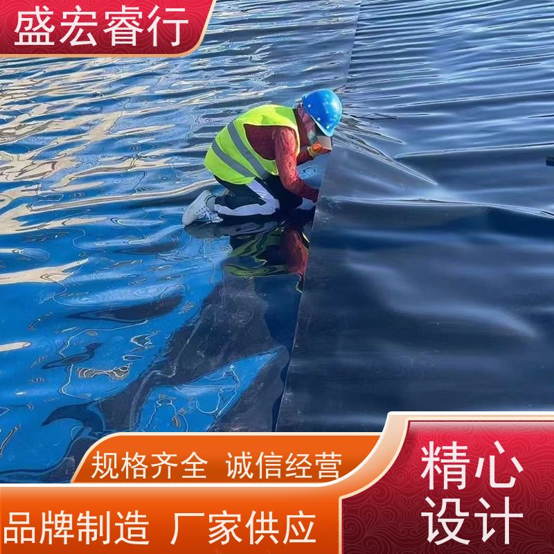盛宏睿行 地铁工程 建筑地下室防.渗.膜  PE塑料薄膜 隔离膜