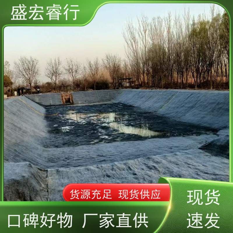 盛宏睿行 河道护坡水库防渗膜 黑色 环保专用膜 土工膜 聚乙烯塑料薄膜