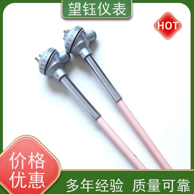 望钰 可定制 Pt1000温度传感器 工业炉窑 生产厂家