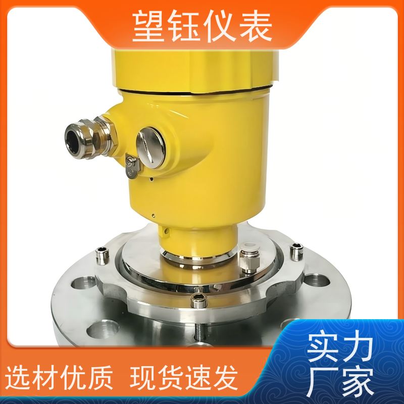 望钰GDRD60双缆雷达液位计 食品储罐 规格齐全