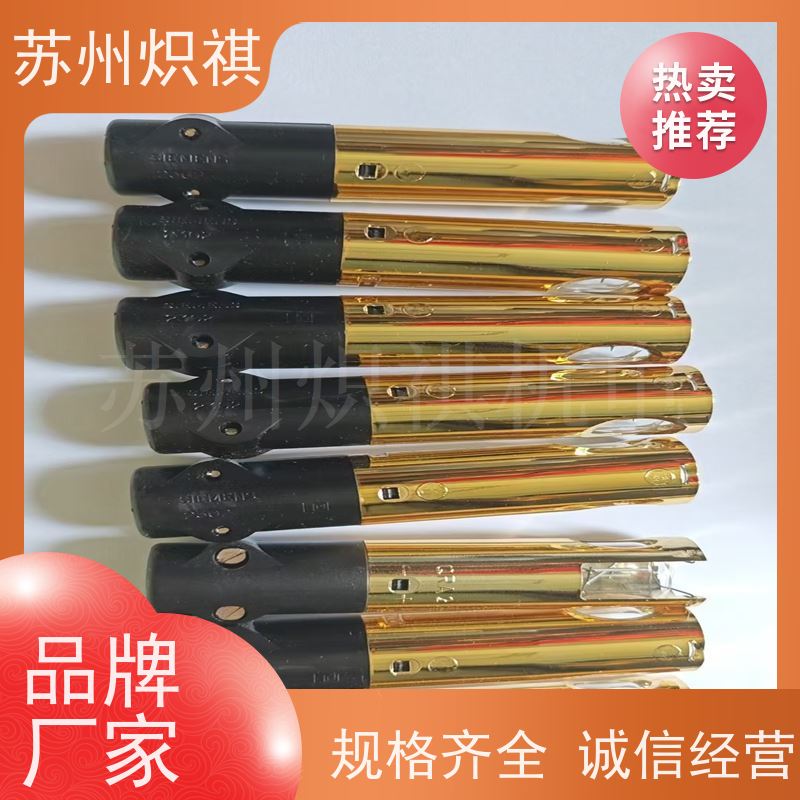 德国西门子SIEMENS 火焰扫描仪 QRA53.G17 燃烧机火焰探头
