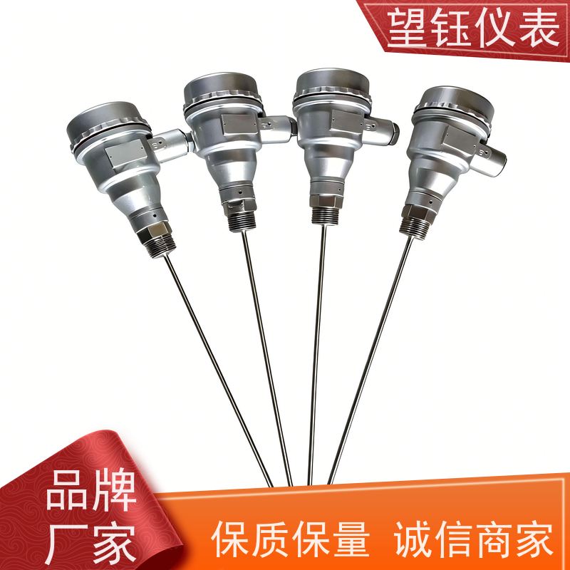 望钰 响应快 WRN探针热电偶 化工反应釜 生产厂家