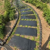 民宿外墙青灰色蘑菇石芝麻白蘑菇石 地铺石庭院