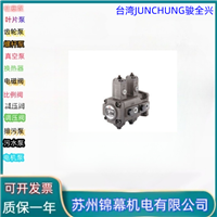 低压叶片泵 骏全兴高压泵台湾JUNCHUNG骏全兴VHO-F-12-A3