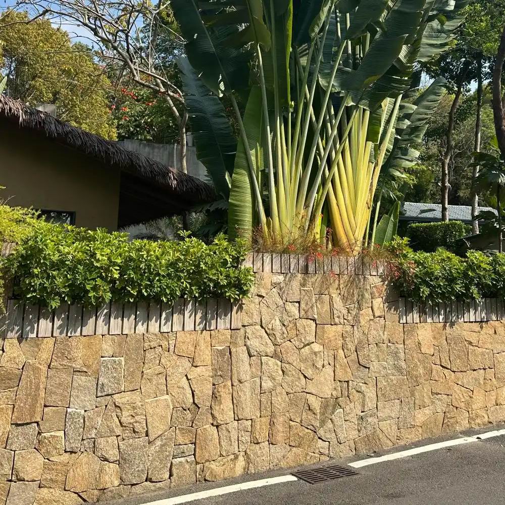庭院地鋪黃木紋板巖-土黃色文化石營造氛圍出色