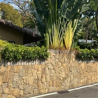 湖州市马赛克碎拼-花坛挡土条石供货厂家