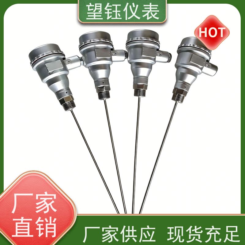 望钰 探针式 Pt100T型热电偶 化工反应釜 厂家供应