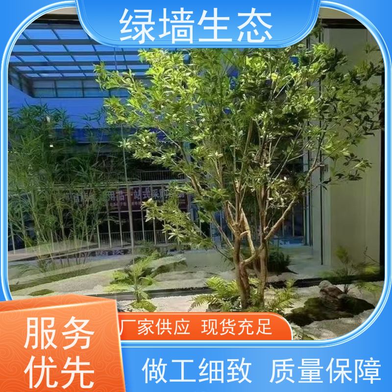 绿墙生态 共享办公区 矮生观叶植物隔断 小区景观绿化