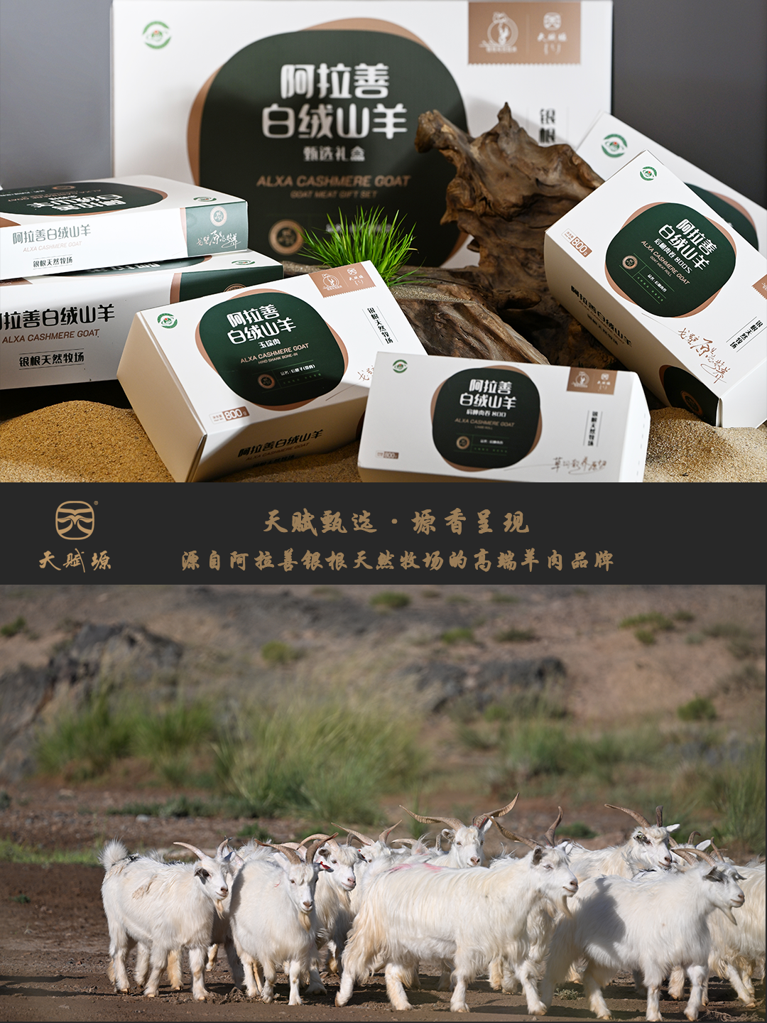 天賦塬?阿拉善白絨山羊：國(guó)家地理標(biāo)志產(chǎn)品?高端定制食材 視頻