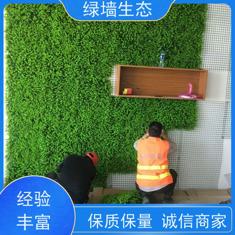 绿墙生态 PVC 阻燃 50×50cm 户外围挡垂直模块 商场仿真绿植墙