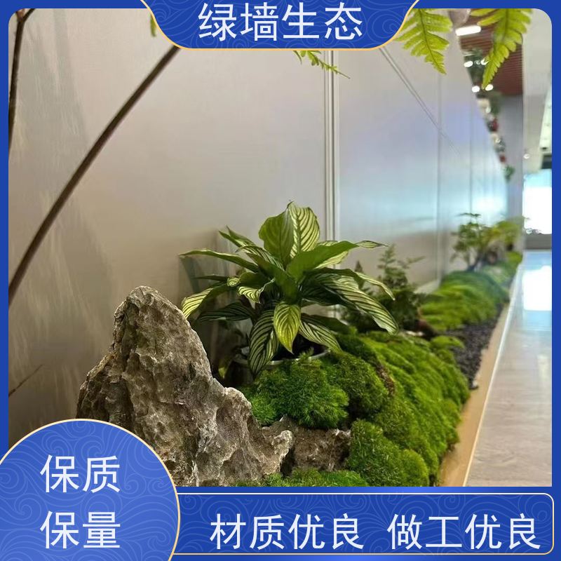 绿墙生态 共享办公区 矮生观叶植物隔断 室内景观墙