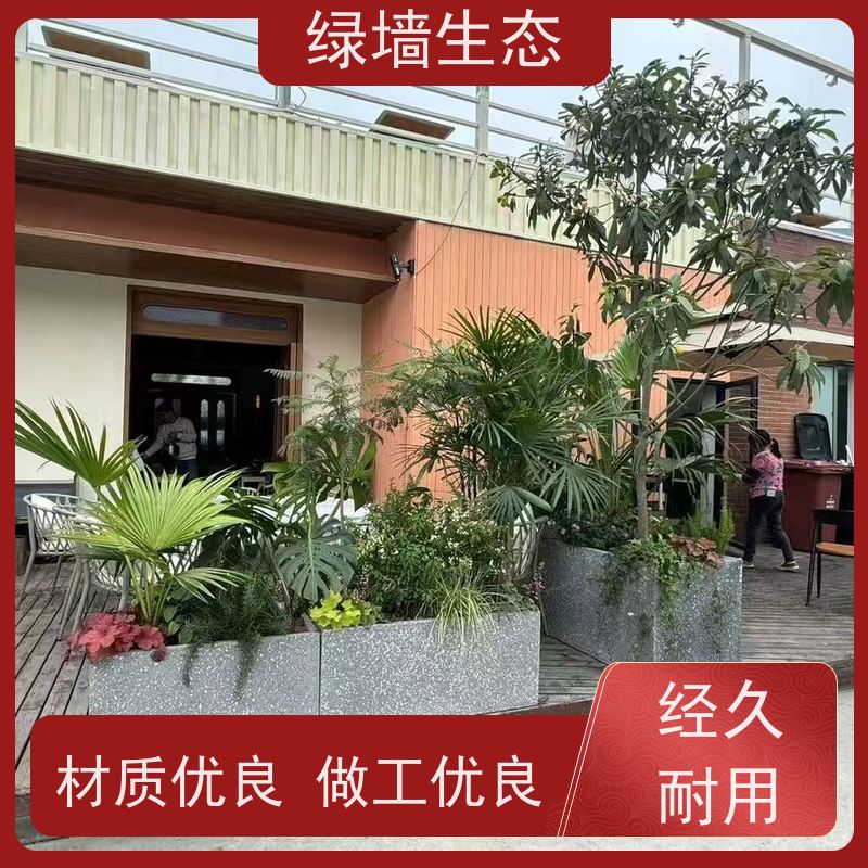 绿墙生态 飘窗小型微 迷你苔藓多肉组合摆件 水陆缸造景