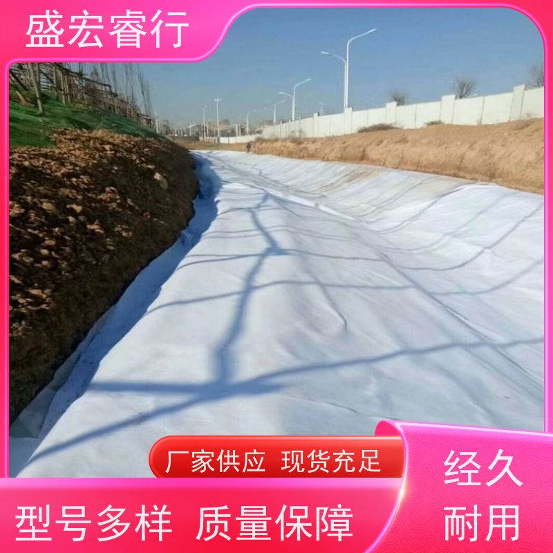盛宏睿行 PP土工布  环保 道路养护桥梁保湿无纺布