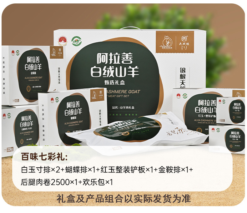 天賦塬探秘阿拉善：隨羊群足跡，解鎖高端山羊肉品質(zhì)密碼 視頻