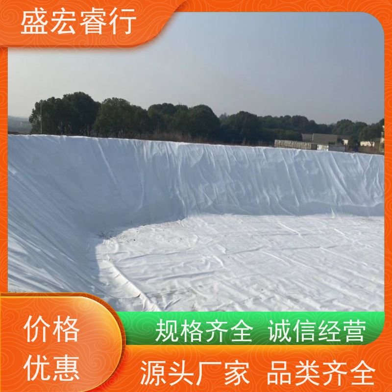盛宏睿行 PP土工布  丙纶短丝 河道护坡防渗过滤布