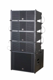 Dual 6-inch linear array speaker