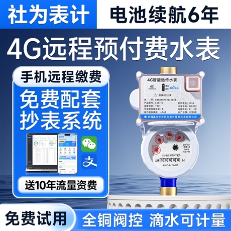 Smart water meter remote meter reading prepaid water meter 4G wireless IoT remote transmission water meter mobile recharge 4 points 6 points