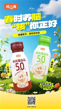 High protein walnut milk