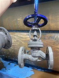 J41H globe valve