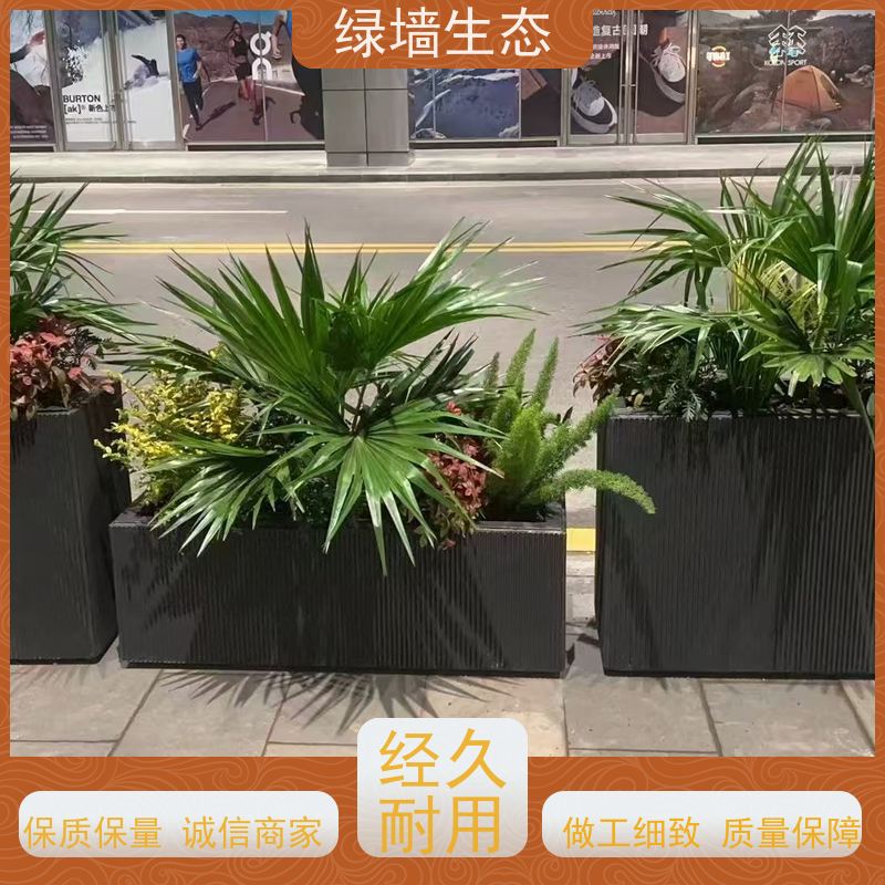 绿墙生态 花箱配套 时令草花灌木填充配置 小型室内园林造景