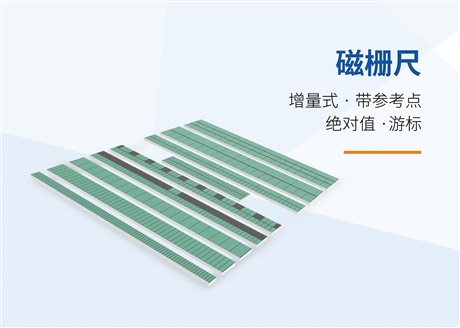 Absolute value of magnetic grid ruler