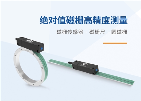 Magnetic grid sensor, magnetic grid ruler, circular magnetic grid sensor