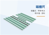Absolute value of magnetic grid ruler