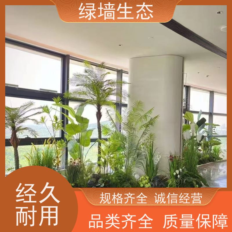 绿墙生态 飘窗小型微 迷你苔藓多肉组合摆件 庭院景观绿化