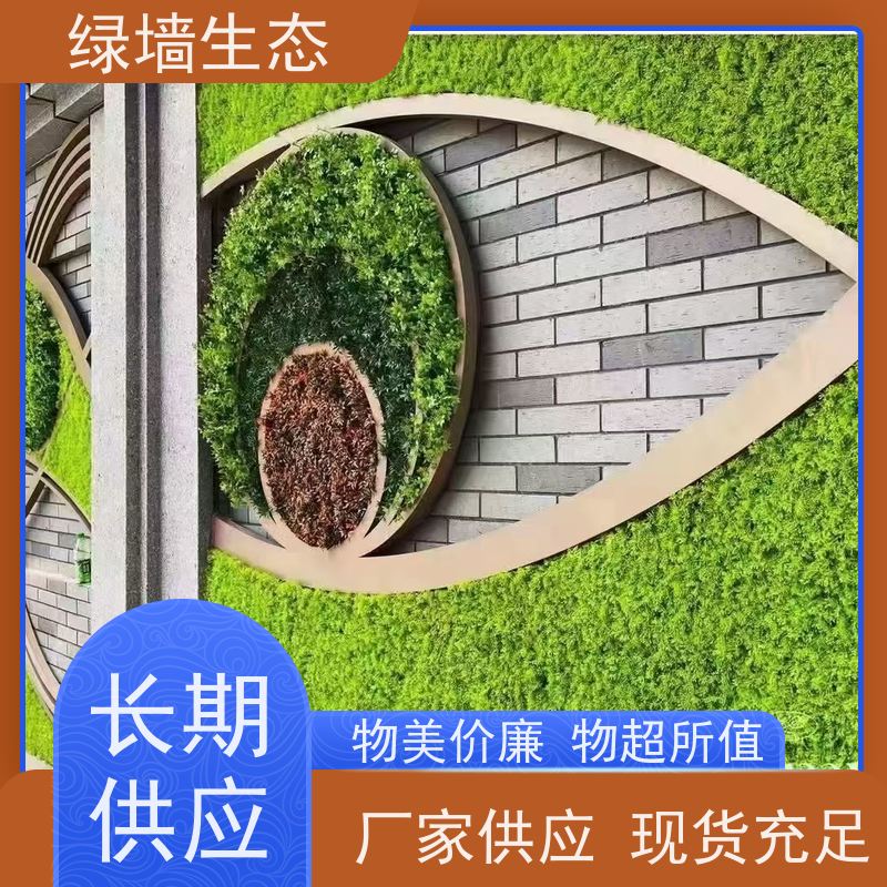 绿墙生态 PE 材质 40×60cm 室内门店基础装饰板 抗UV植物墙