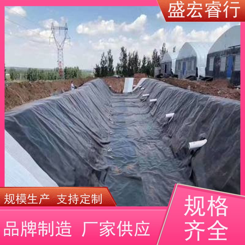 盛宏睿行 0.4mmPE膜 全新料 工程养殖环保通用 土工膜
