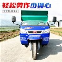 草莓大棚撒肥撒粪车 三轮车载大棚抛粪机 邮寄肥料抛洒车