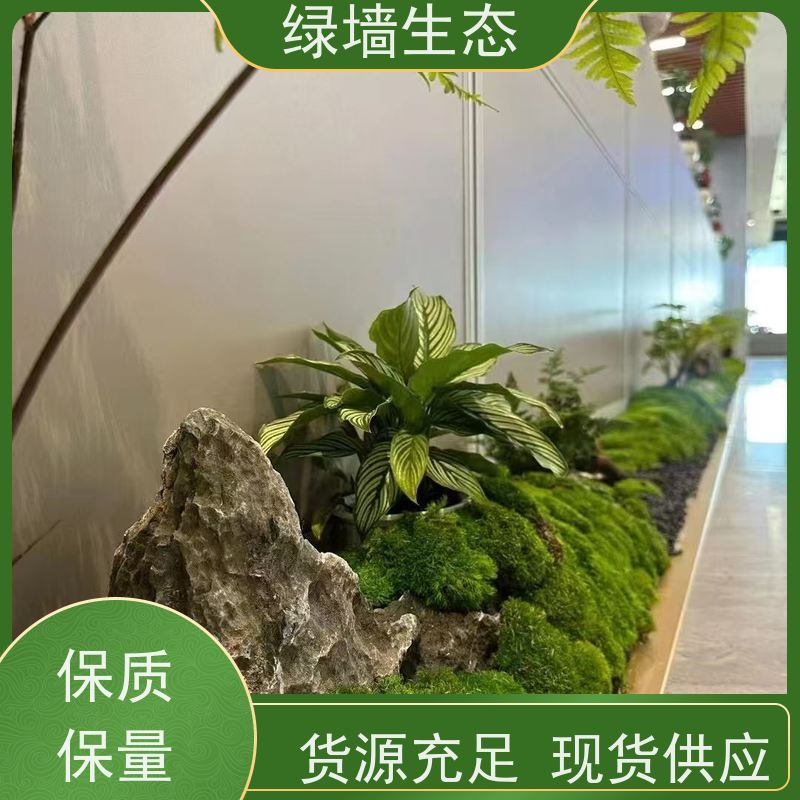 绿墙生态 市政道路旁 行道花灌木分层绿.化布局 室内园林景观