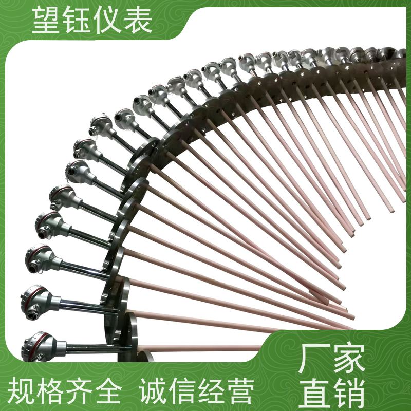 望钰 响应快 WRTE型热电偶 化工反应釜 生产厂家
