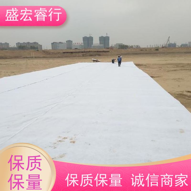 盛宏睿行 PET土工布  园林绿化 防尘盖土保湿无纺布