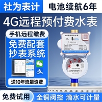Smart water meter remote meter reading prepaid water meter 4G wireless IoT remote transmission water meter mobile recharge 4 points 6 points
