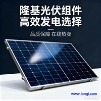 Longi Conventional Double Glass Aluminum Frame 615W