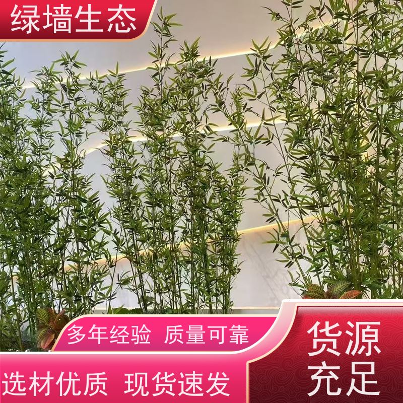 绿墙生态 造型松景松苗木庭院别墅小区绿.化乔木 室内溪流景观造景